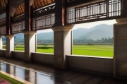 巴厘岛DPS机场：你需要知道的一切